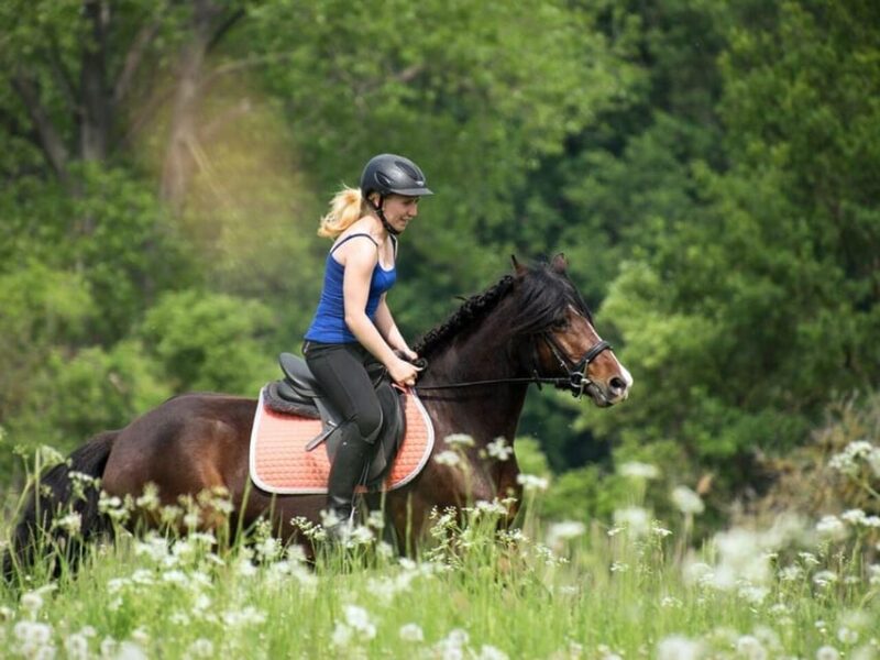 Istanbul: 1 Hours Horse Riding With Trained Horses - Pricing and Inclusions