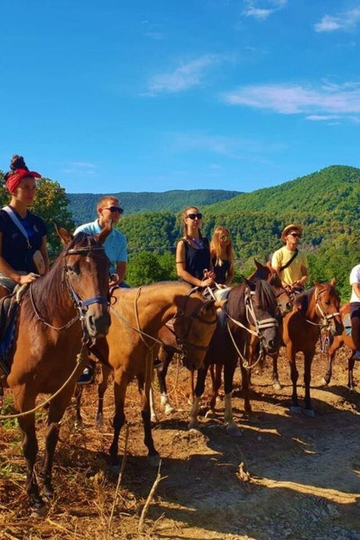 Istanbul: 1 Hours Horse Riding With Trained Horses - Experience Highlights