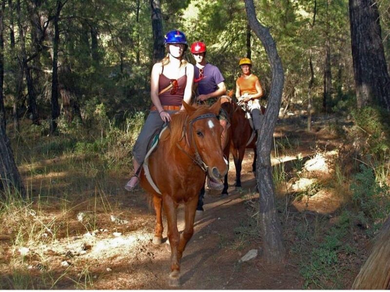 Istanbul: 1 Hours Horse Riding With Trained Horses - Location and Accessibility
