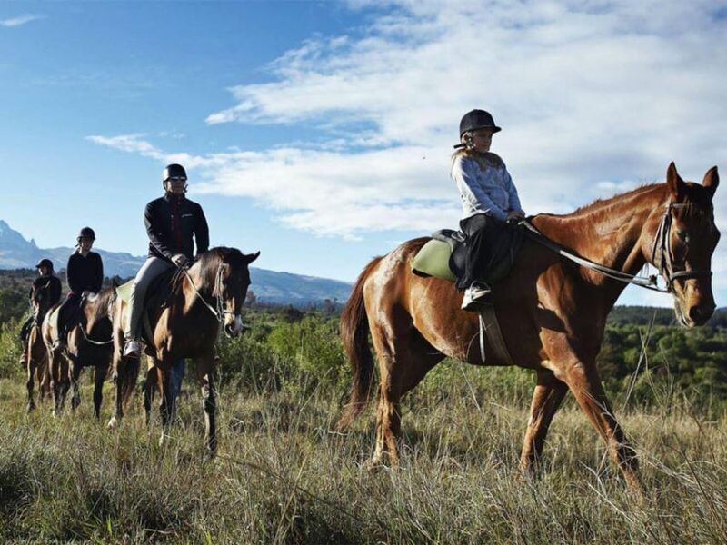 Istanbul: 1 Hours Horse Riding With Trained Horses - Safety and Precautions