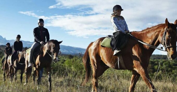 Istanbul: 1 Hours Horse Riding With Trained Horses - Customer Reviews and Ratings