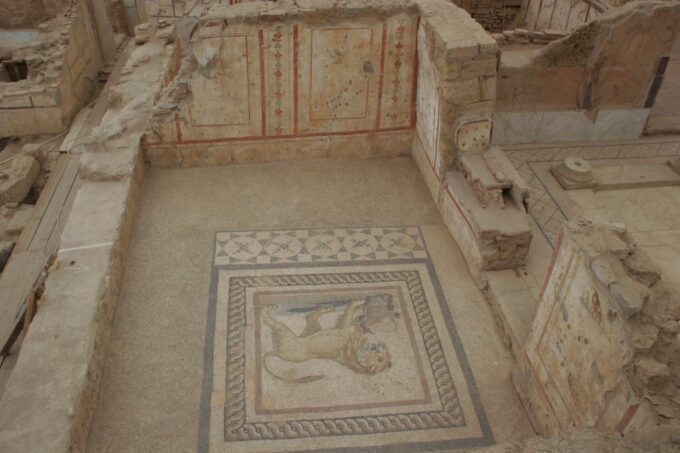 Istanbul: 8-Day Cappadocia, Ephesus, Konya, Pamukkale Tour - Exploring Ancient Ephesus