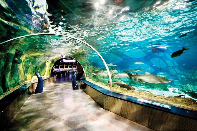 Istanbul Aquarium and Aqua Florya Independent Shopping Trip - Admission and Accessibility