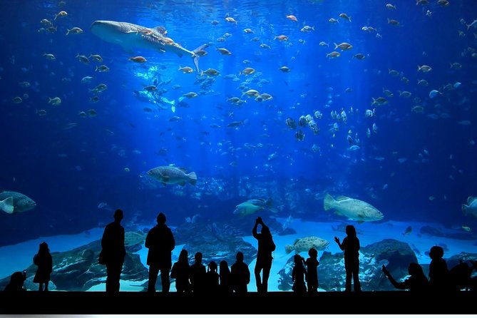 Istanbul Aquarium and Aqua Florya Independent Shopping Trip - Exploring the Shopping Mall