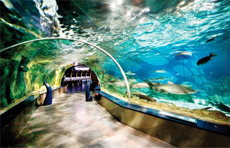 Istanbul Aquarium and Aqua Florya Shopping Mall Tour - Aquarium Highlights