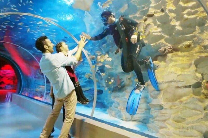 Istanbul Aquarium and Aqua Florya Shopping Mall Tour - Inclusion and Exclusion