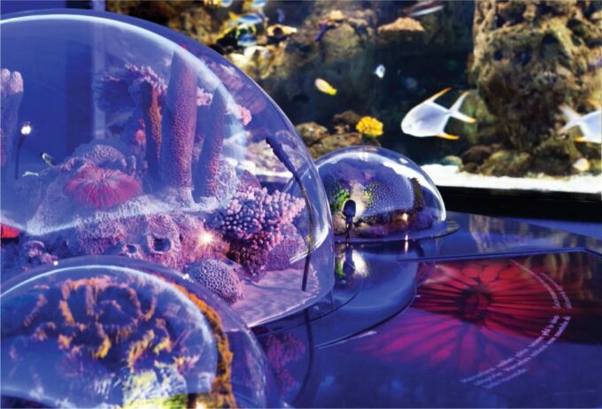 Istanbul Aquarium and Aqua Florya Shopping Mall Tour - Customer Reviews