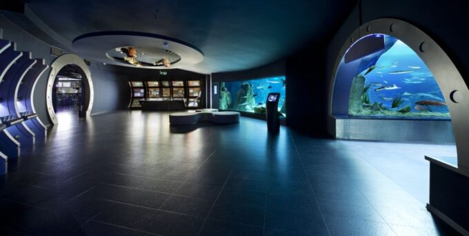 Istanbul Aquarium and Aqua Florya Shopping Mall Tour - Cancellation Policy