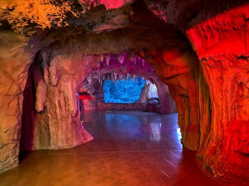 Istanbul: Aquarium Ticket and Round Trip Shuttle From Taksim - Skip-the-Line Entry Benefits