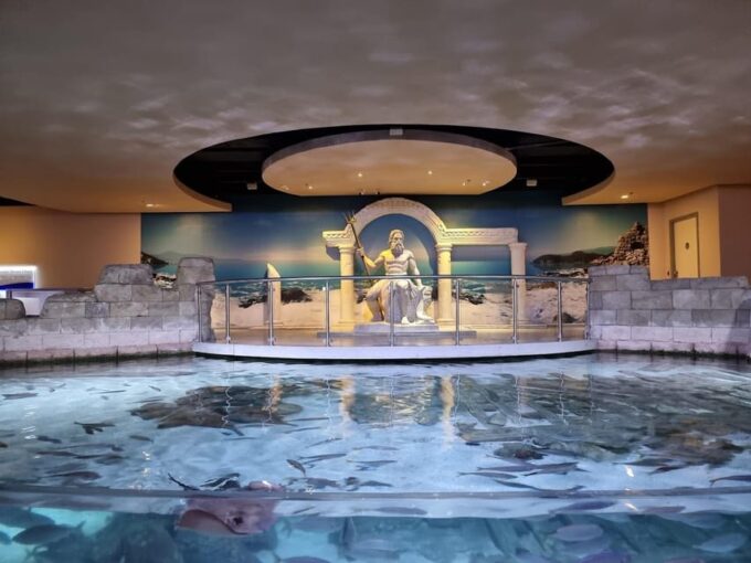 Istanbul: Aquarium Ticket and Round Trip Shuttle From Taksim - What to Expect