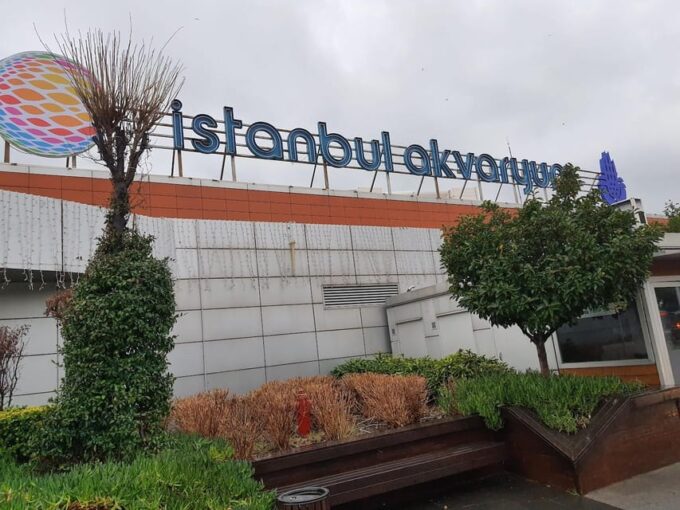 Istanbul: Aquarium Ticket and Round Trip Shuttle From Taksim - Frequently Asked Questions