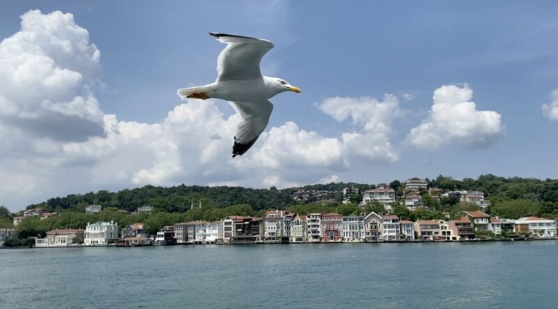Istanbul: Asian & European Side Food Tour - Transportation and Logistics