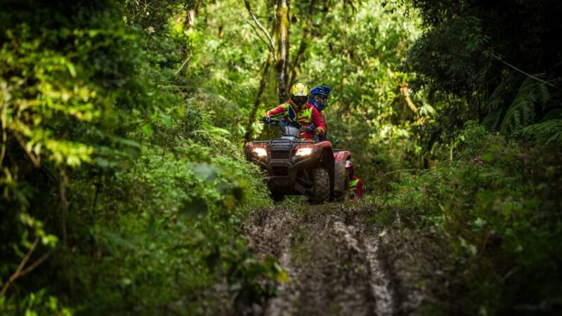 Istanbul: Belgrad Forest ATV Tour With Ziplining Option - Key Points