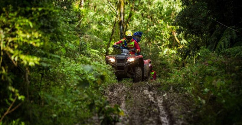 Istanbul: Belgrad Forest ATV Tour With Ziplining Option - Booking Information