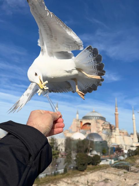 Istanbul: Best of the City Full-Day Tour With Transfers - Private Group Option