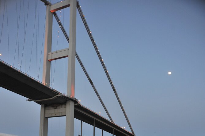 Istanbul: Bosphorus and Golden Horn Cruise With Audio Guide - Cruise Duration and Route