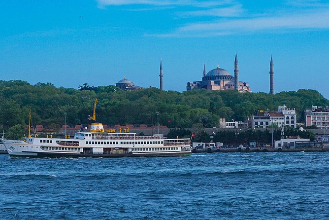 Istanbul Bosphorus Cruise and Audio Guide App - Highlights of the Experience