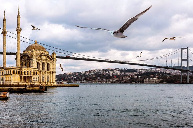 Istanbul Bosphorus Cruise Tour ( Morning or Sunset ) - Inclusions
