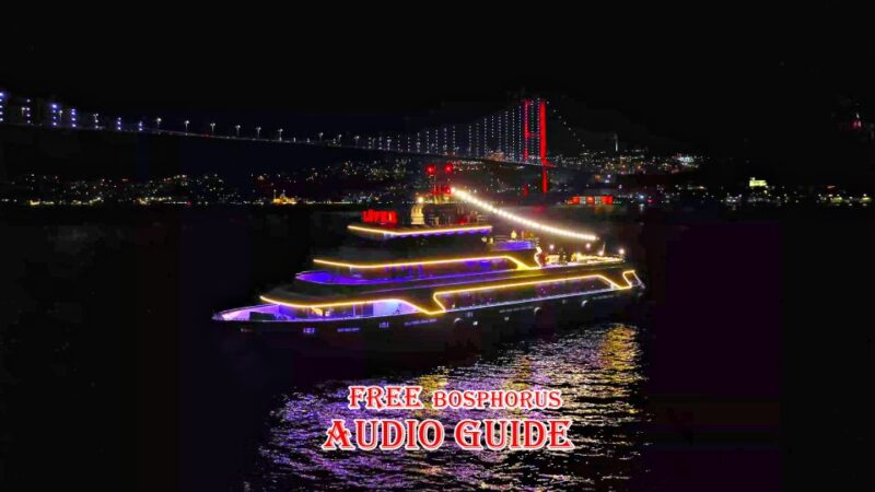 Istanbul: Bosphorus Dinner Cruise & Show With Private Table - Dining Experience