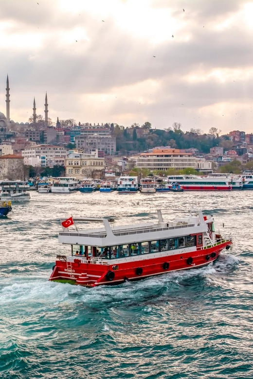 Istanbul: Bosphorus Guided Sightseeing Cruise - Panoramic Views of the City