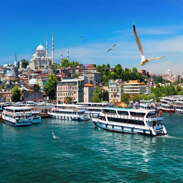 Istanbul Bosphorus Morning Cruise Guided Tour - Key Points
