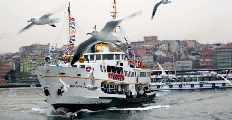 Istanbul: Bosphorus Morning Cruise With Breakfast - Cruise Experience