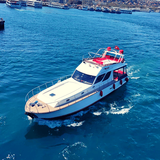 Istanbul: Bosphorus Private Yacht Cruise With Tea and Coffee - Booking and Availability