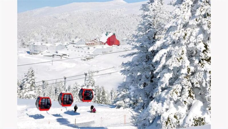 Istanbul: Bursa and Uludag Mountain Day Trip With Cable Car - Customer Reviews Summary