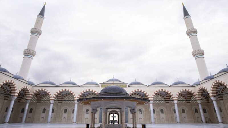 Istanbul: City Hightlights Bus Tour and Bosphorus Cruise - Tour Guide Languages
