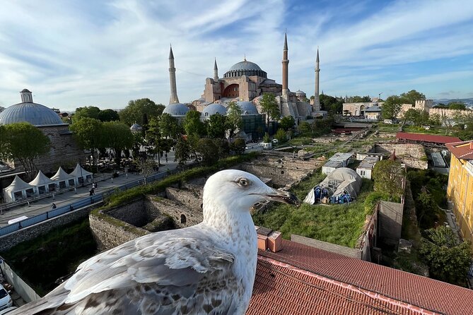 Istanbul City Tour From Cruise Ship Terminal Galataport. - Additional Considerations