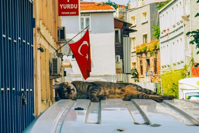 Istanbul: City Tour With Audio Guide in Your Smartphone - Key Attractions
