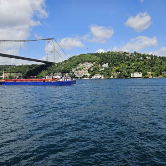 Istanbul: Cruise and Dine 2.5-Hour Bosphorus Lunch Tour - Activity Details