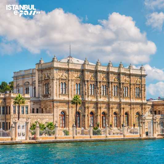 Istanbul: Dolmabahce Palace & Harem Skip-the-Line Entry - Included Services
