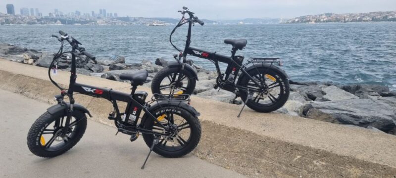 Istanbul E-Bike Rental - Electirick E-Bike or Standart Bike - Rental Options