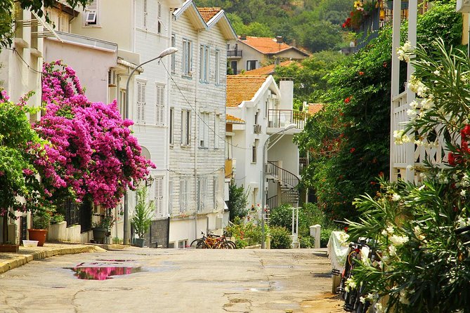 Istanbul: Ferry Tickets for Princes Island - Included Features for Convenience