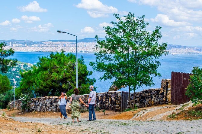 Istanbul: Ferry Tickets for Princes Island - Meeting and End Points