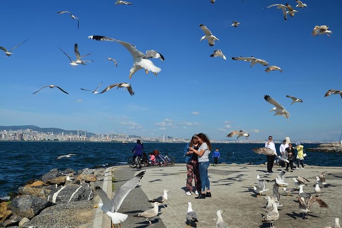 Istanbul: Ferry Tickets for Princes Island - Accessibility and Tour Size