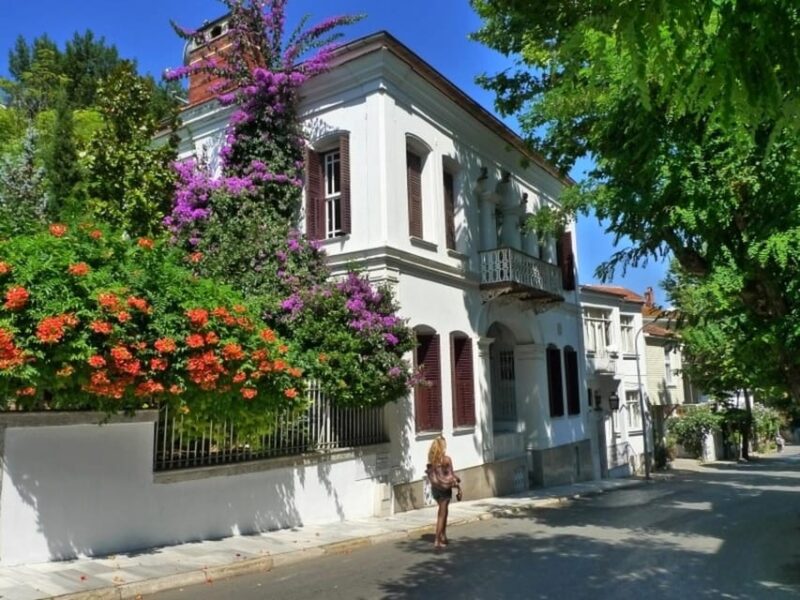 Istanbul: Full Day Prince Islands Tour With Bosphorus Boat - Booking Information