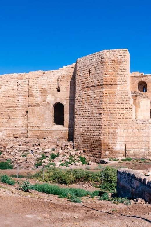 Istanbul: Gobeklitepe and Harran Day Trip - Visiting Göbeklitepe