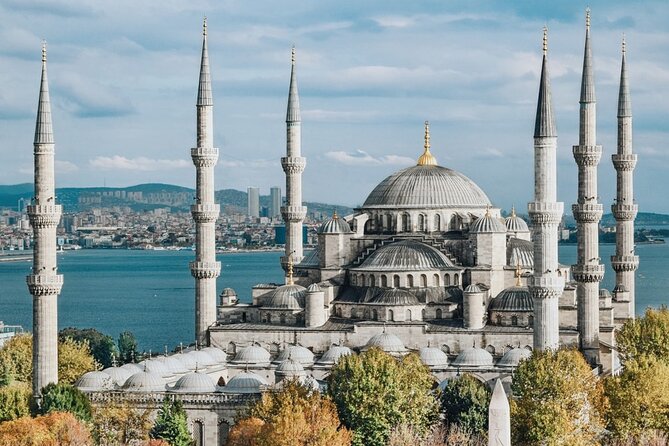 Istanbul Hagia Sophia Introduction Tour - Highlights of the Historic Landmark
