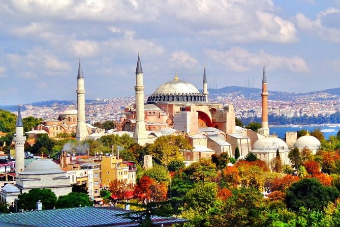 Istanbul Highlights Small-Group Walking Guided Tour and Transfers - Expert English-speaking Guide
