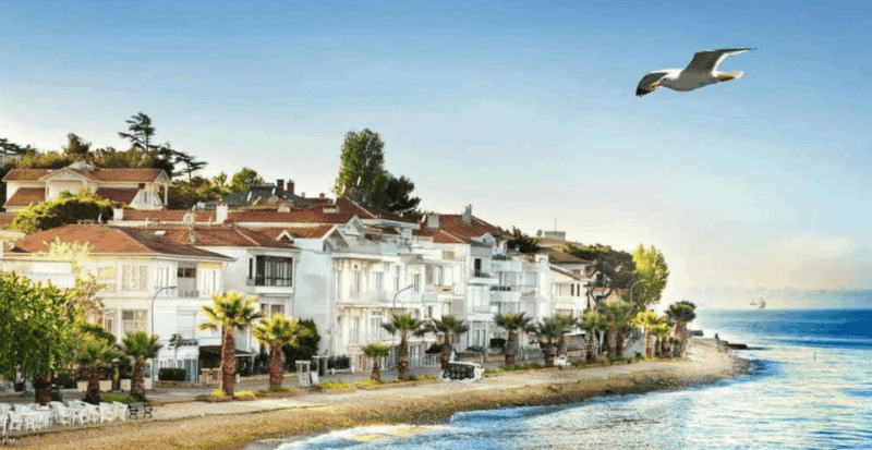 Istanbul: Princes Island Tour With Lunch and 2 Islands - Inclusions