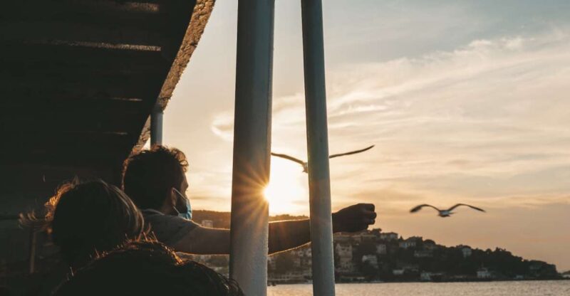 Istanbul: Princes Islands Cruise W/Music, Lunch & Transfer - Itinerary Highlights