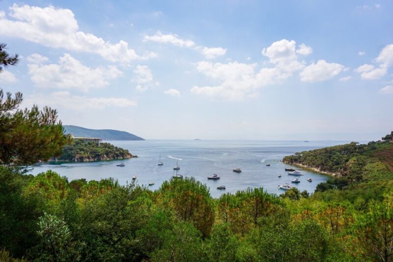 Istanbul: Princes Islands Cruise W/Music, Lunch & Transfer - Transportation and Pickup