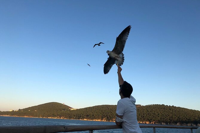 Istanbul Princes Islands Heybeliada Buyukada Guided Tour - Meeting and Pickup Details