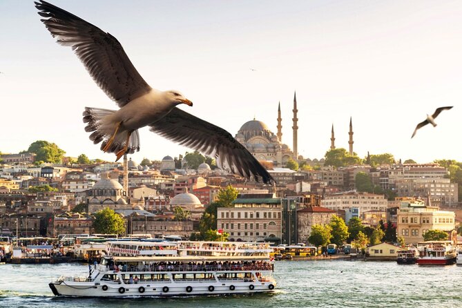 Istanbul Princes Islands Heybeliada Buyukada Guided Tour - Transport and Accessibility