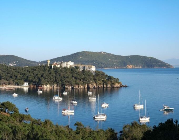 Istanbul: Princes Islands Tour With Lunch and Transfers - Scenic Highlights