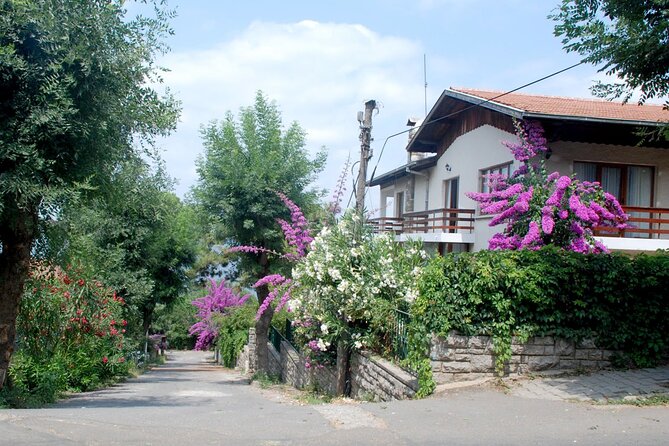Istanbul Princess Islands Tour Lunch Included - Tour Details