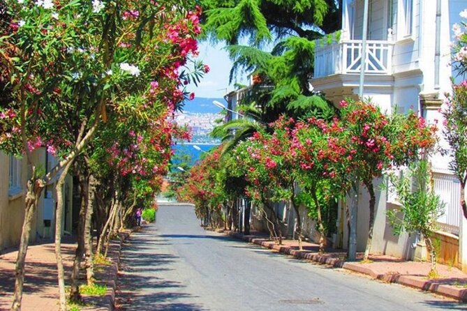 Istanbul Princess Islands Tour Lunch Included - Cancellation Policy