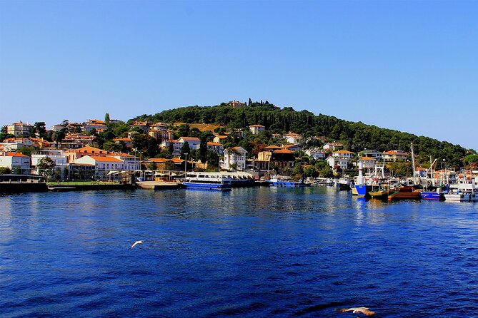 Istanbul Princess Islands Tour Lunch Included - Sightseeing Highlights